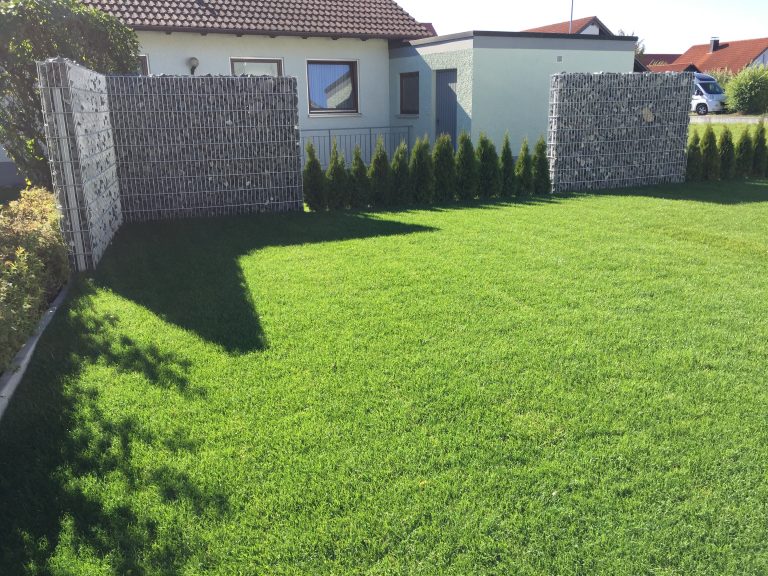 Rasenfläche vor gestaffelten Gabionenwänden und schmalen Heckenpflanzen.