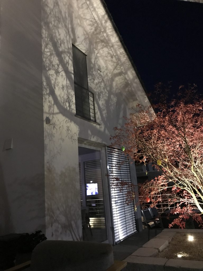 Beleuchtete Hausfassade mit einem angestrahlten roten Zierbaum.
