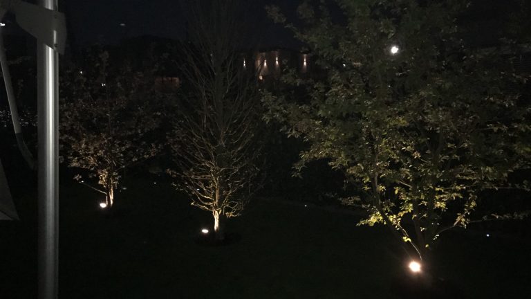 Dezente Bodenstrahler beleuchten Bäume und Sträucher im dunklen Garten.