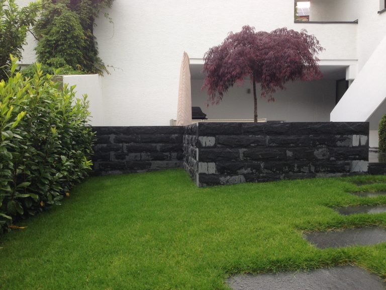 Dunkle Gartenmauer vor einem roten Fächerahorn und einer Rasenfläche.