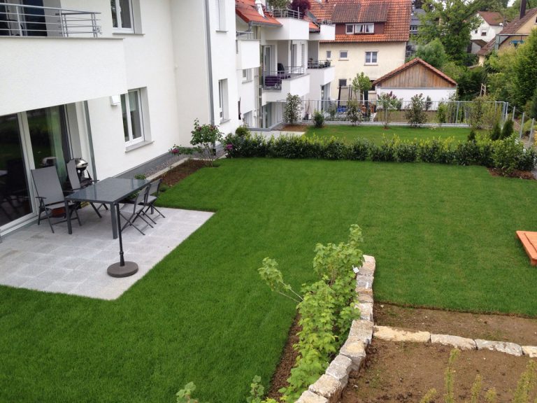 Große Rasenfläche mit Terrasse und Randbepflanzung an einem Wohnhaus.