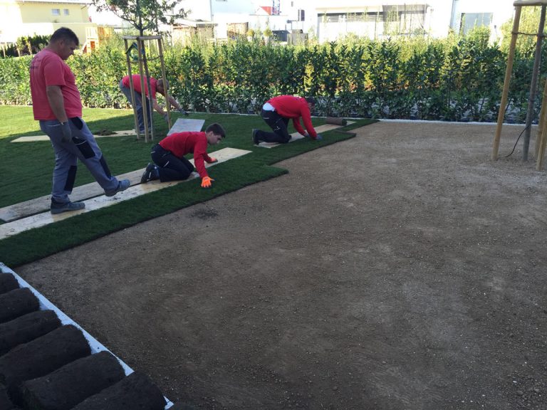 Gartenbau-Team verlegt Rollrasen auf einer vorbereiteten Bodenfläche.