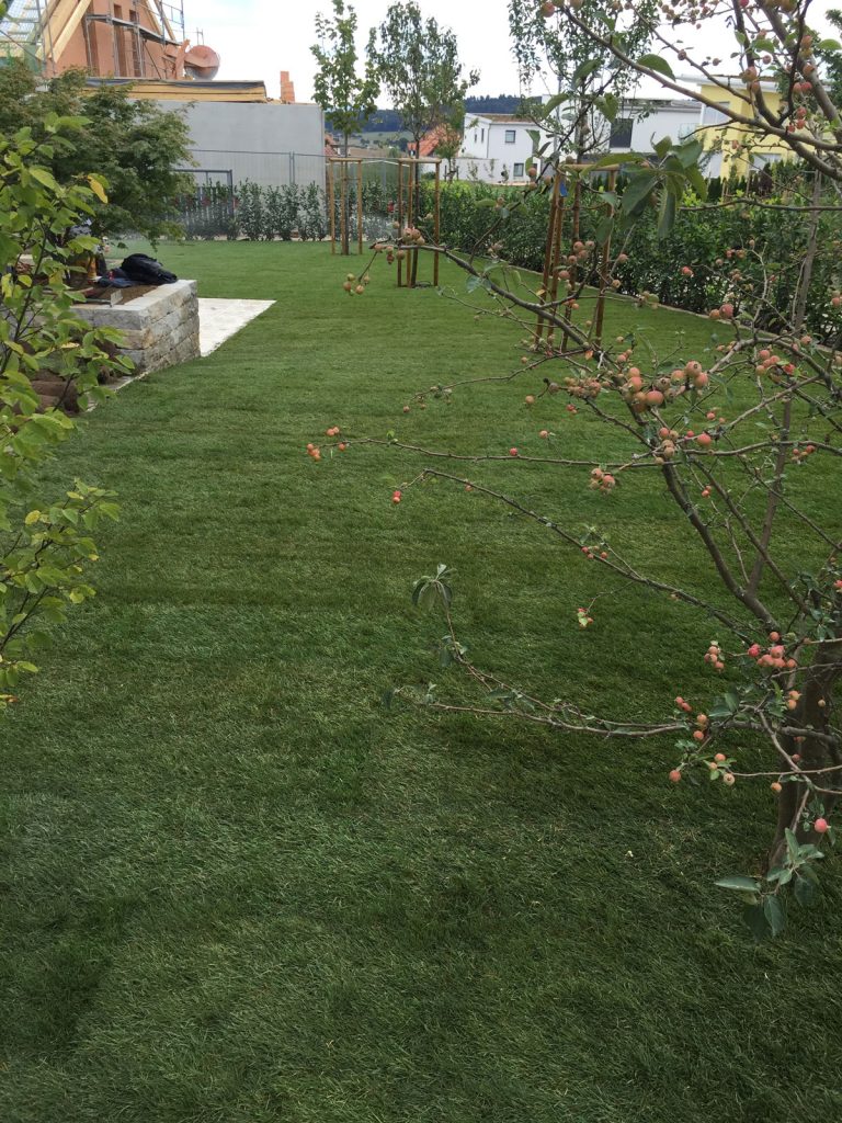 Frisch verlegter Rollrasen in einem schmalen Gartenbereich.