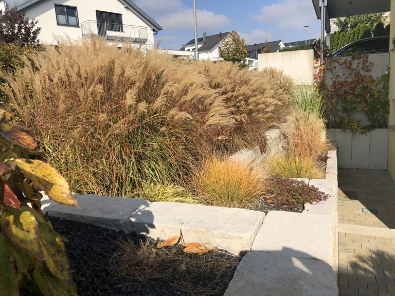 Herbstliche Ziergräser in einem erhöhten Natursteinbeet am Wohnhaus.