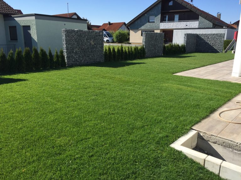 Große Rasenfläche mit Gabionen und einer Reihe schlanker Gehölze.