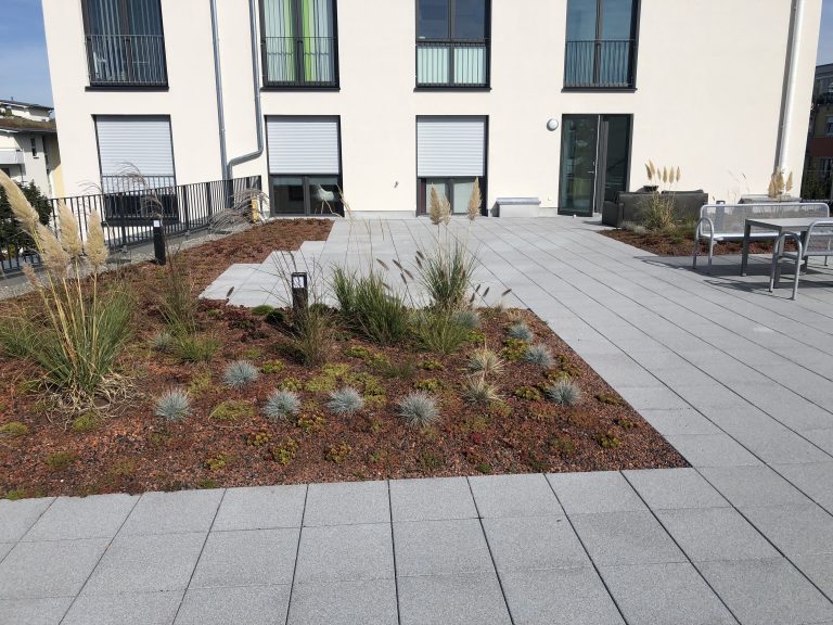 Großes bepflanztes Beet mit Ziergräsern auf einer Dachterrasse.