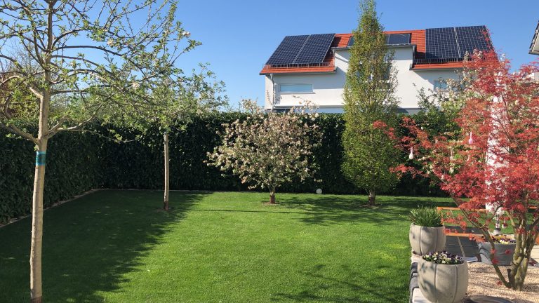 Gartenrasen mit Zierbäumen und Hecke vor benachbarten Wohnhäusern.