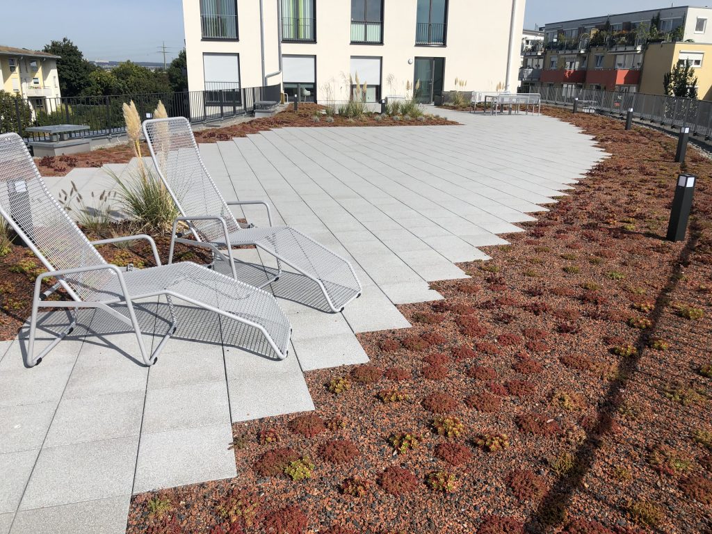 Dachterrasse mit hellen Platten, Liegestühlen und einem bepflanzten Randbereich.