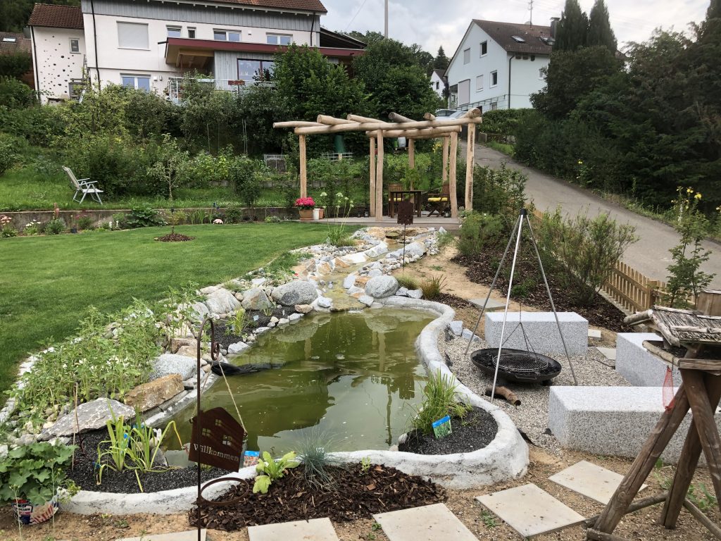 Gartenteich mit geschwungenem Ufer, Natursteinen und angrenzender Terrasse.