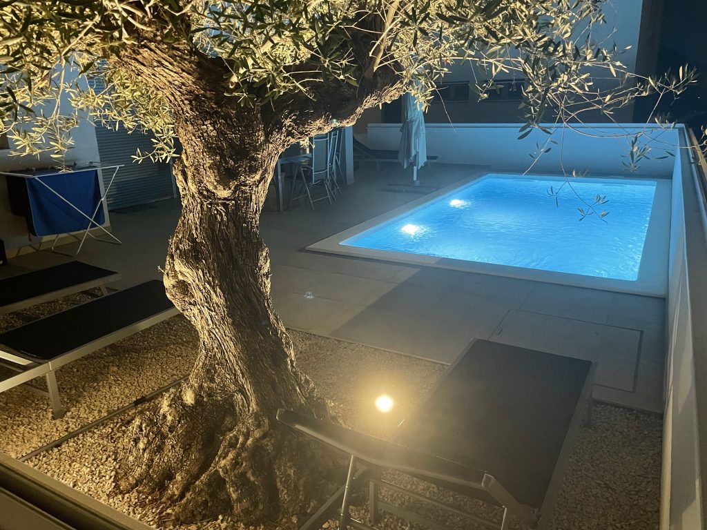 Beleuchteter Olivenbaum vor einem blau leuchtenden Gartenpool am Abend.